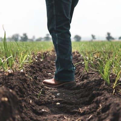 Duurzame jeans: ontwikkelingen binnen het assortiment